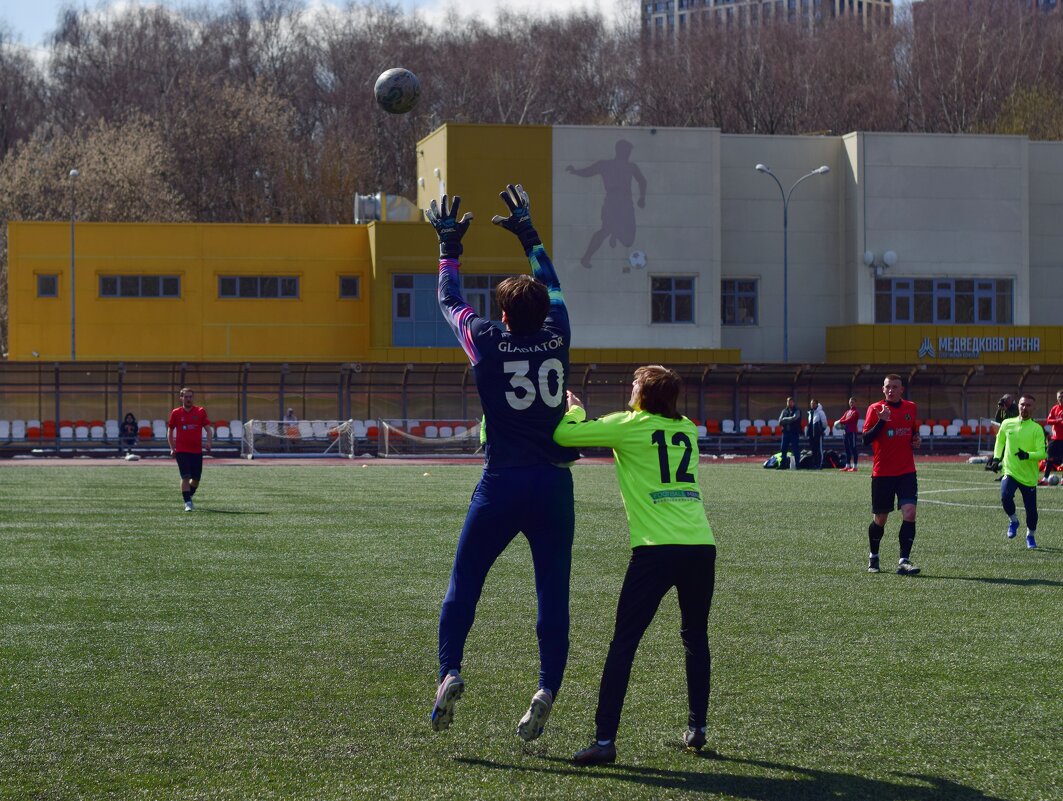 Мооой! - Наталья Вязигина Мооой! - Наталья Вязигина