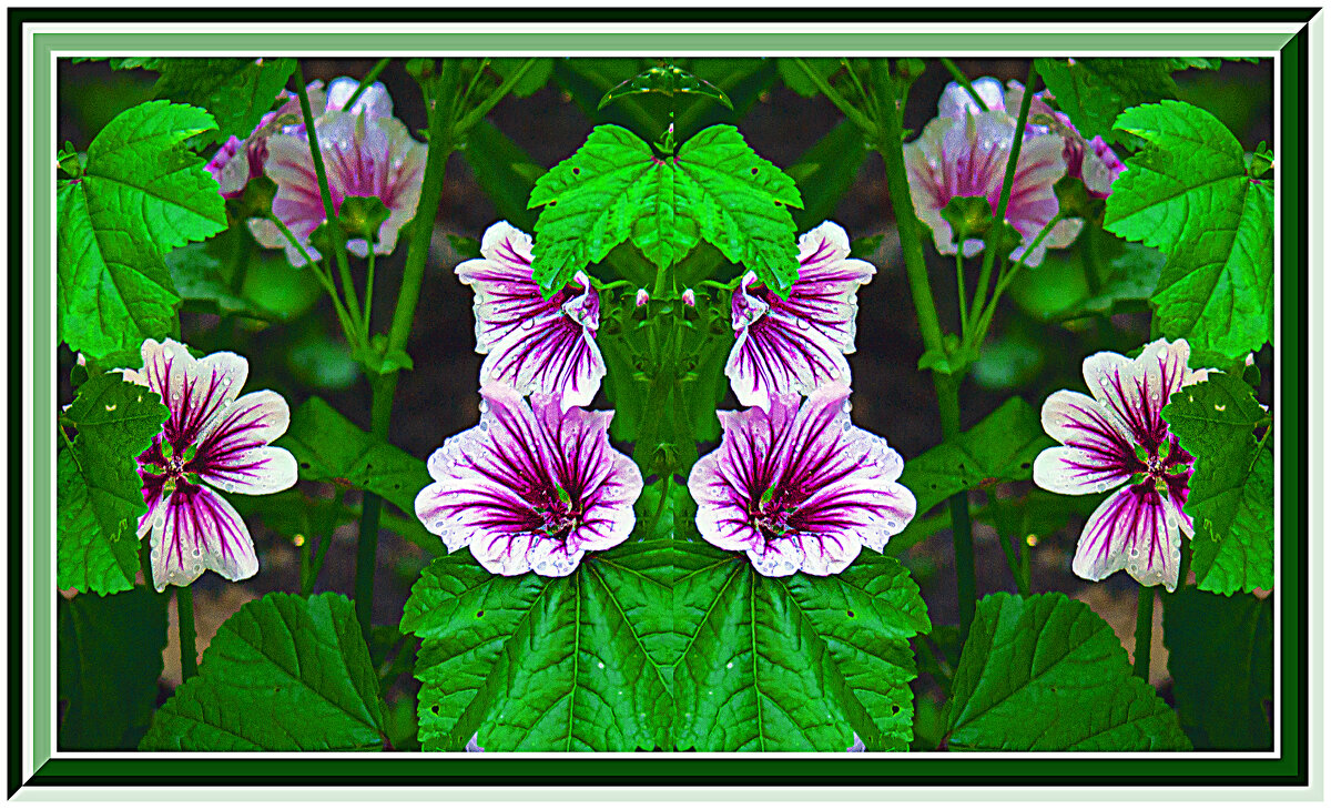 Цветение - Владимир Кроливец Цветение - Владимир Кроливец