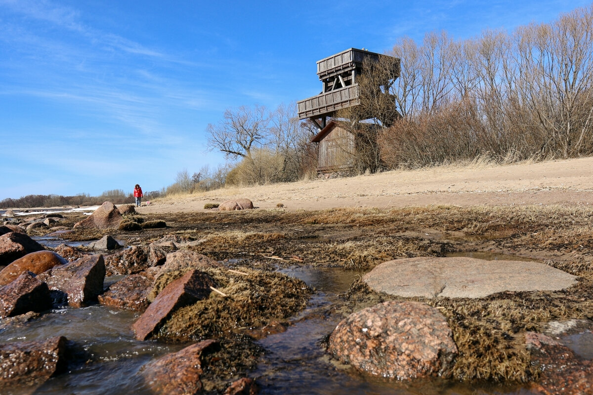 Западный Котлин - skijumper Иванов