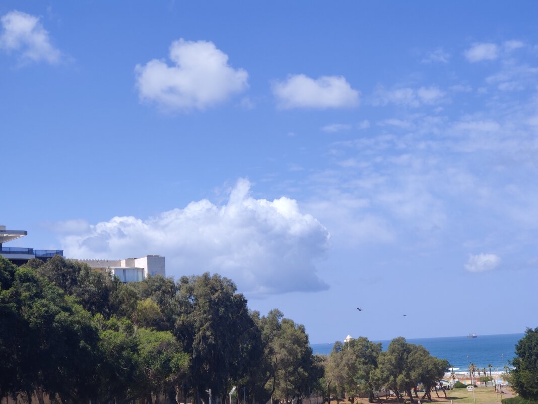 " - Светлана Хращевская