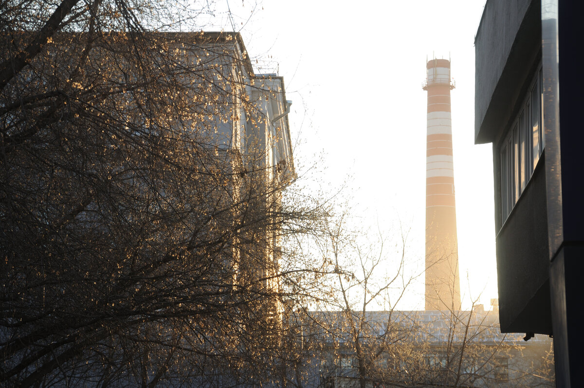 *** - Сергей Сергеев