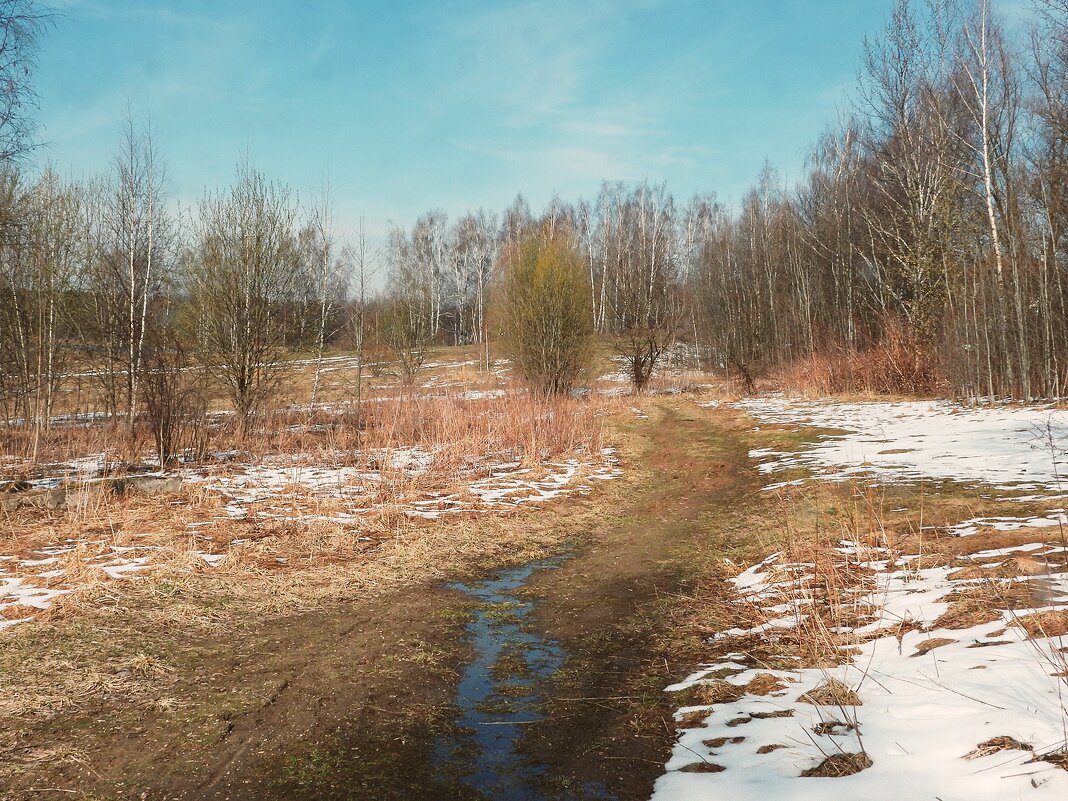 Апрель - Леонид leo