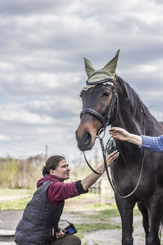 Настенька Шевченко, тренер по конному спорту и просто хорошая девушка - Коля Лукашов Настенька Шевченко, тренер по конному спорту и просто хорошая девушка - Коля Лукашов