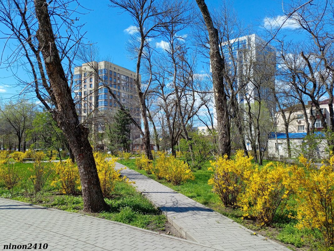 Ростовская весна - Нина Бутко