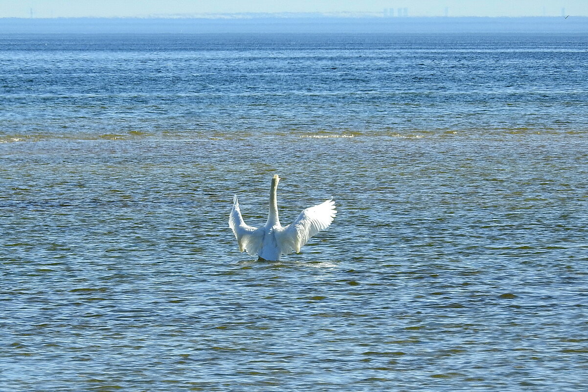 вксна - ИННА ПОРОХОВА вксна - ИННА ПОРОХОВА