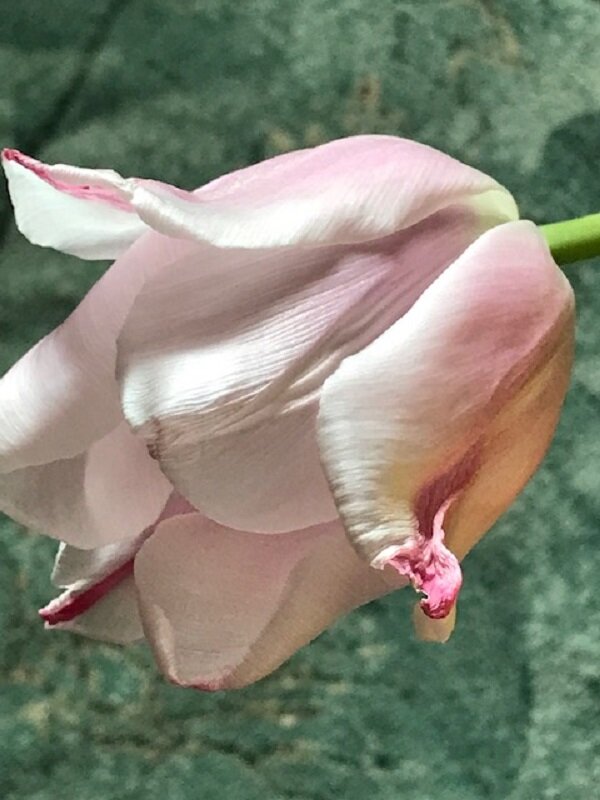 Весна берёт своё! - Татьяна Юрасова