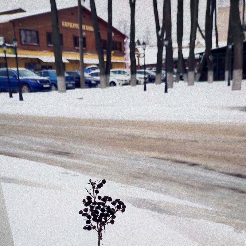 снежный апрель в Киржаче - Любовь снежный апрель в Киржаче - Любовь