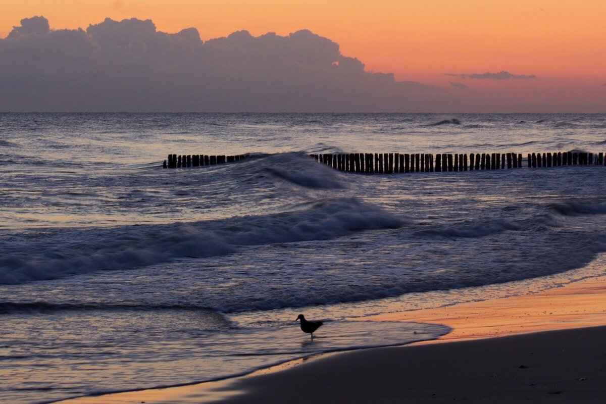 Раннее утро - Юрий. Шмаков