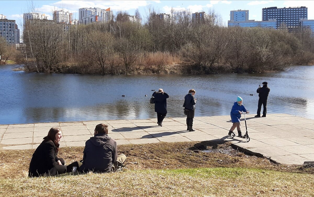 На берегу пруда - Наталья Герасимова