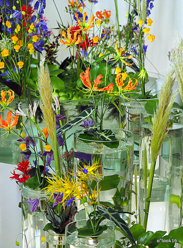 маленькие радости - Олег Лукьянов маленькие радости - Олег Лукьянов