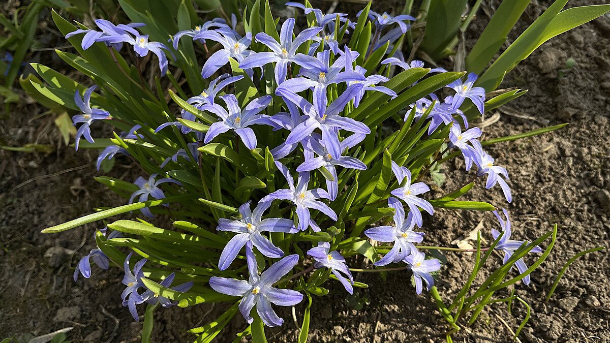 а жизнь продолжается... - Olga Oskolkova а жизнь продолжается... - Olga Oskolkova