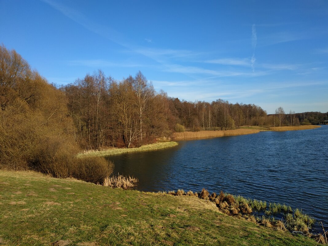 Любимый уголок любимого пруда в апреле - Андрей Лукьянов Любимый уголок любимого пруда в апреле - Андрей Лукьянов