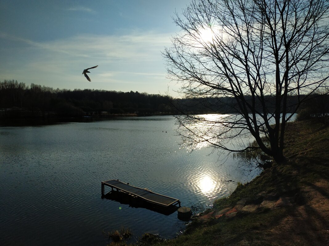 Любимый пруд в апреле - Андрей Лукьянов Любимый пруд в апреле - Андрей Лукьянов