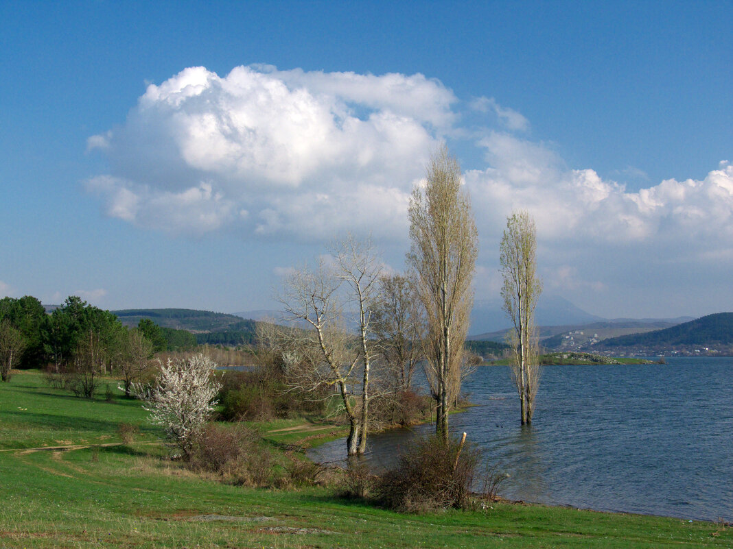 свет - Всеволод 