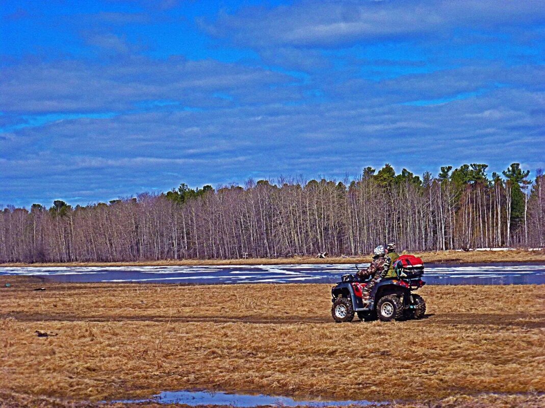 Май...Заповедная охрана! - Владимир 