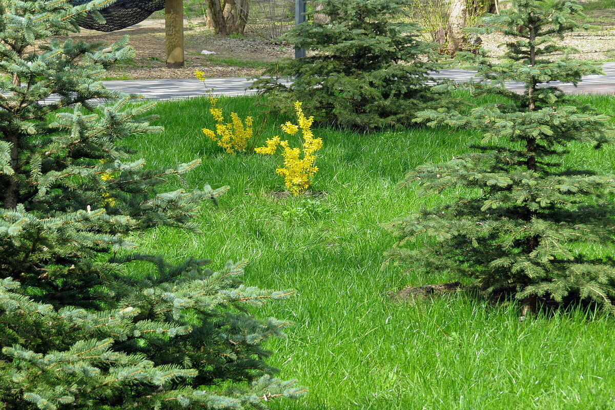 Пришельцы - Сеня Белгородский Пришельцы - Сеня Белгородский