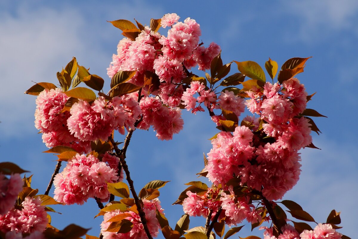 Доброе утро - Юрий. Шмаков Доброе утро - Юрий. Шмаков