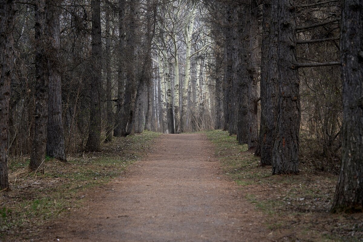 *** - Владимир *** - Владимир