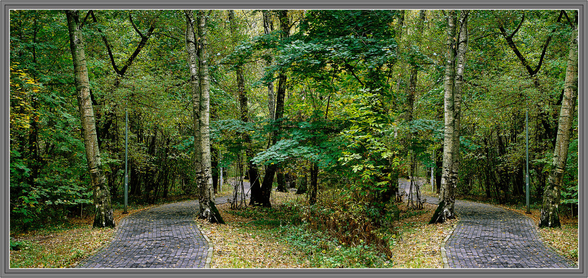 В лесопарке Троицка - Владимир Кроливец В лесопарке Троицка - Владимир Кроливец