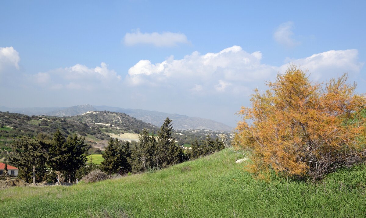 Пейзаж - Oleg4618 Шутченко Пейзаж - Oleg4618 Шутченко