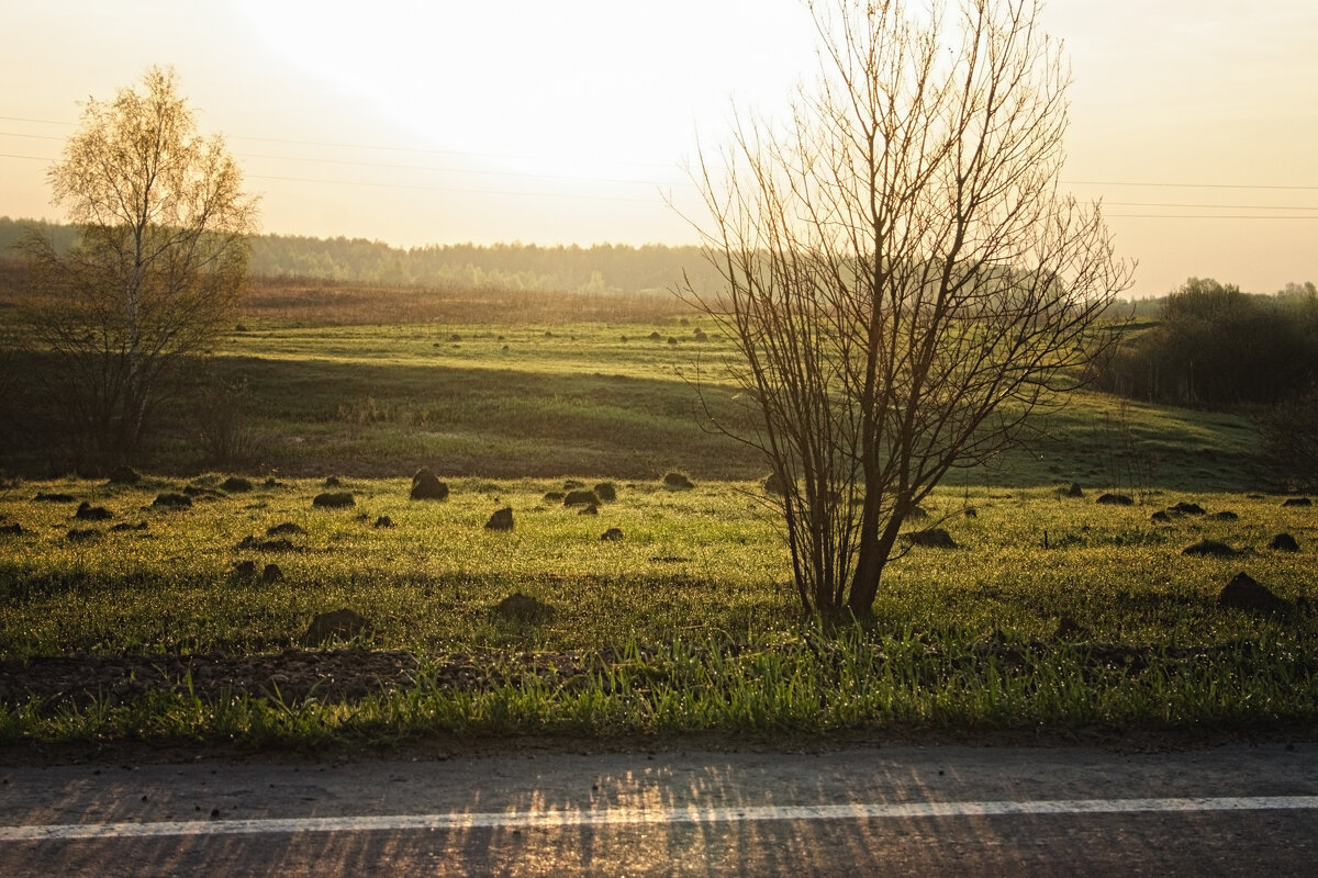 На рассвете - Джованни Луче