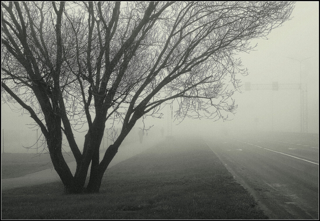 Утро... - Aleksandr Gal Утро... - Aleksandr Gal