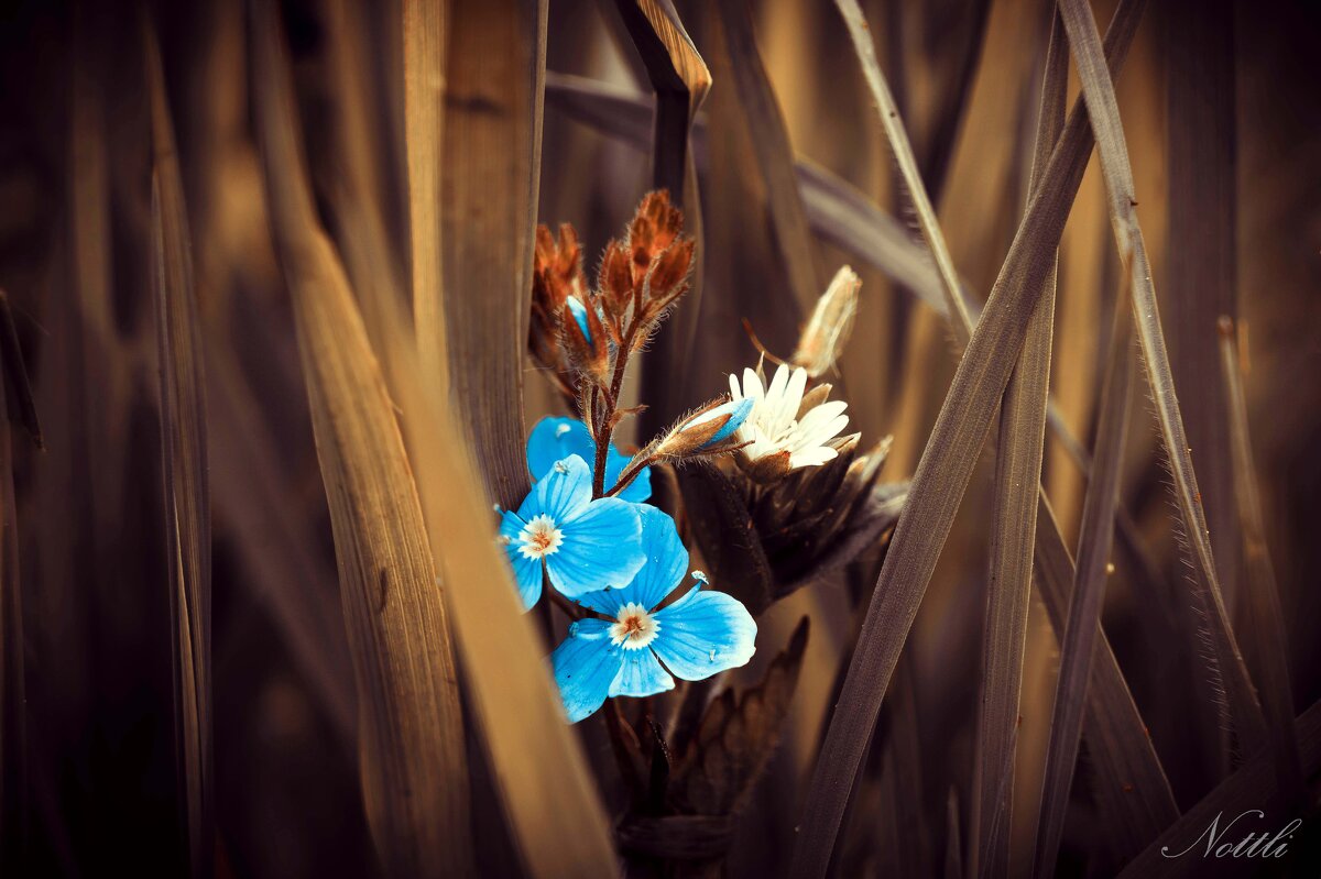 Затаились - Варвара Высоцкая