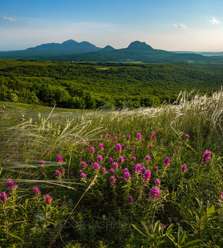 Майская степь - Фёдор. Лашков