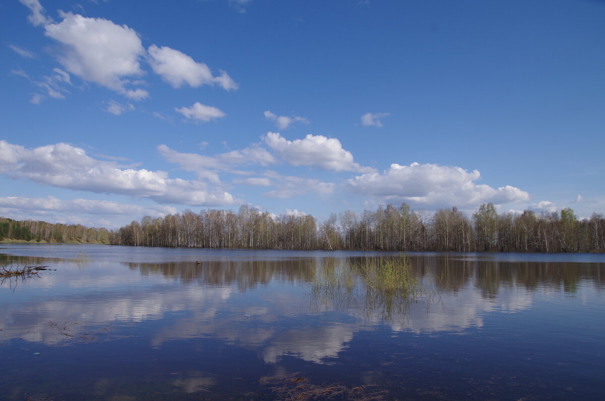 весеннее озеро - Сергей Швечков весеннее озеро - Сергей Швечков
