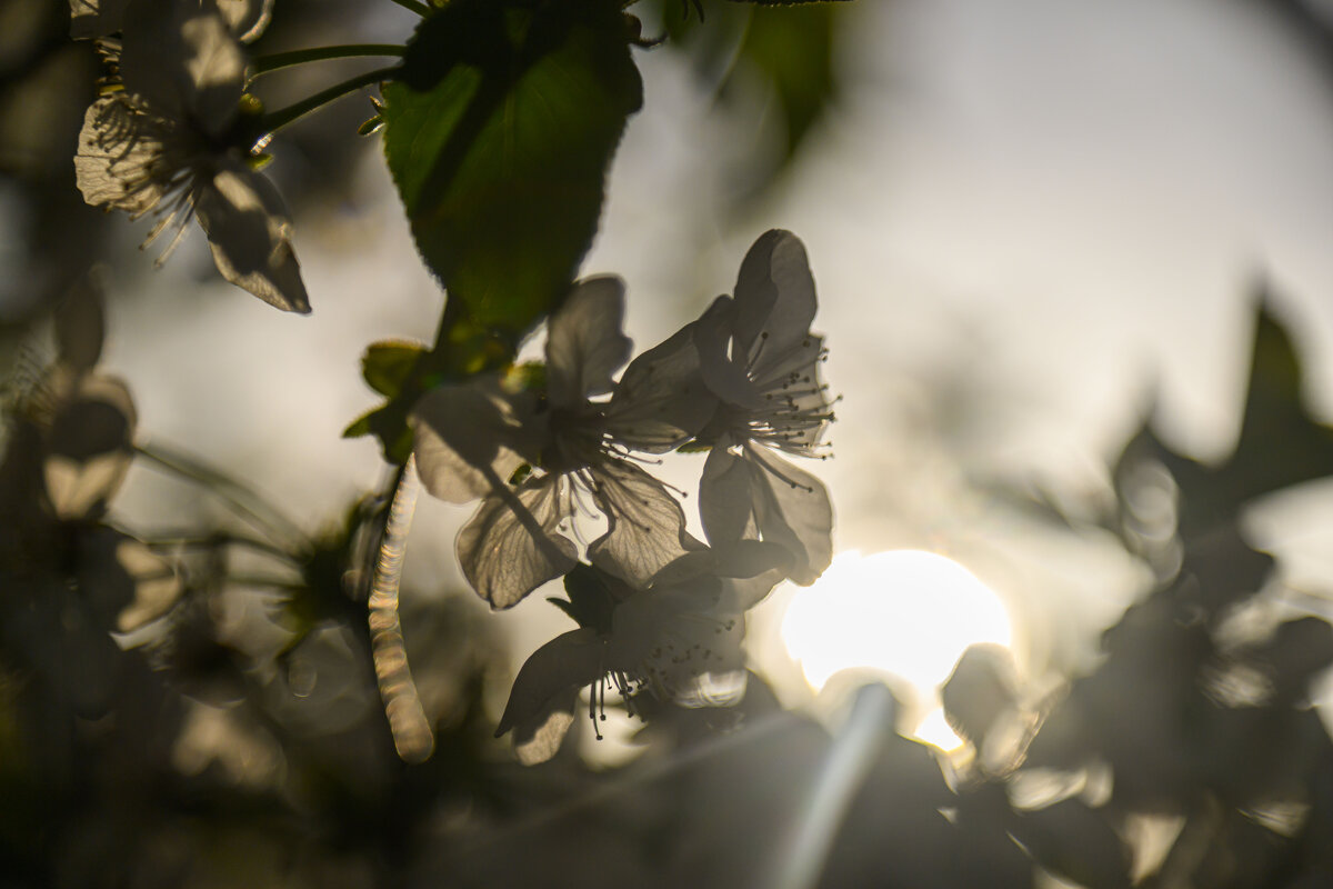 * - Осень * - Осень