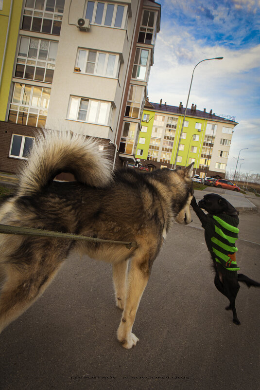 Ярик.Знакомство. - leff Postnov Ярик.Знакомство. - leff Postnov