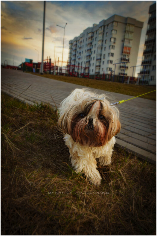 Красотка. - leff Postnov