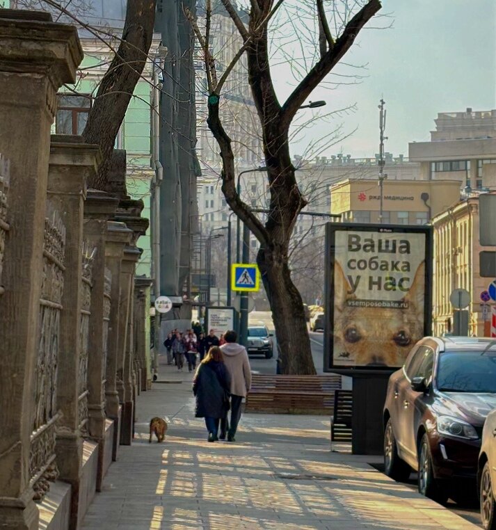 Ваша собака у нас - Мария - Maria