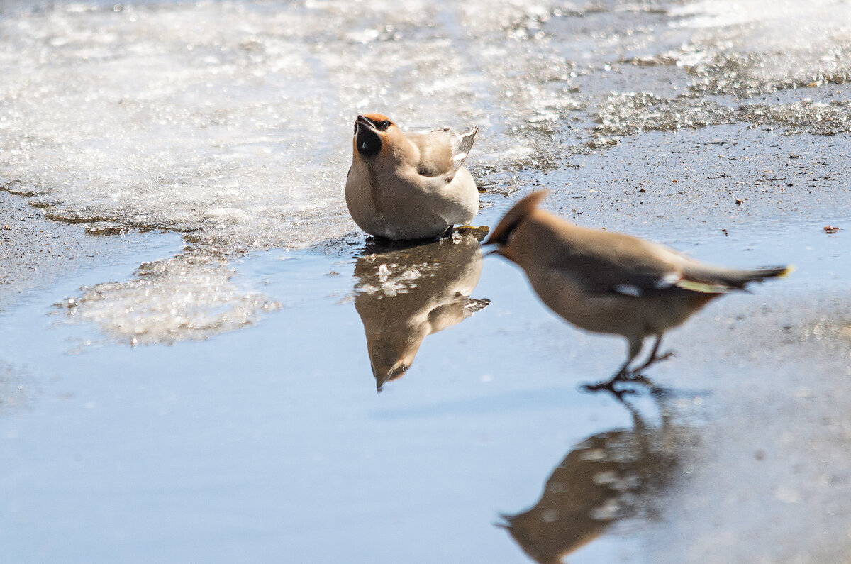 Когда хочется пить. - Виктор Иванович Чернюк Когда хочется пить. - Виктор Иванович Чернюк