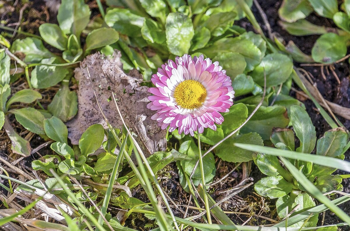 Апрельская - Валерий Иванович