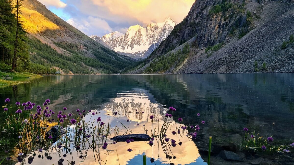 Шавлинское - Виктор Фоменко