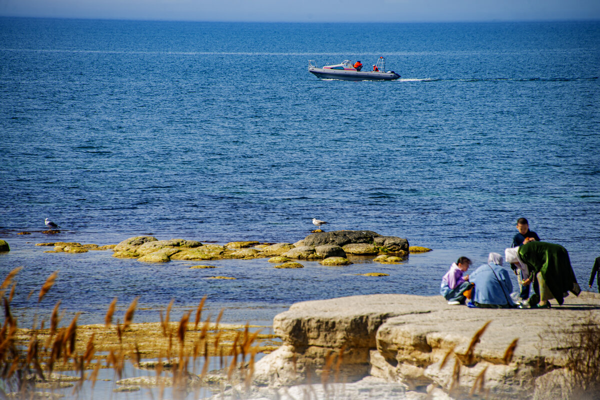 Берег Каспия - Анатолий Чикчирный Берег Каспия - Анатолий Чикчирный