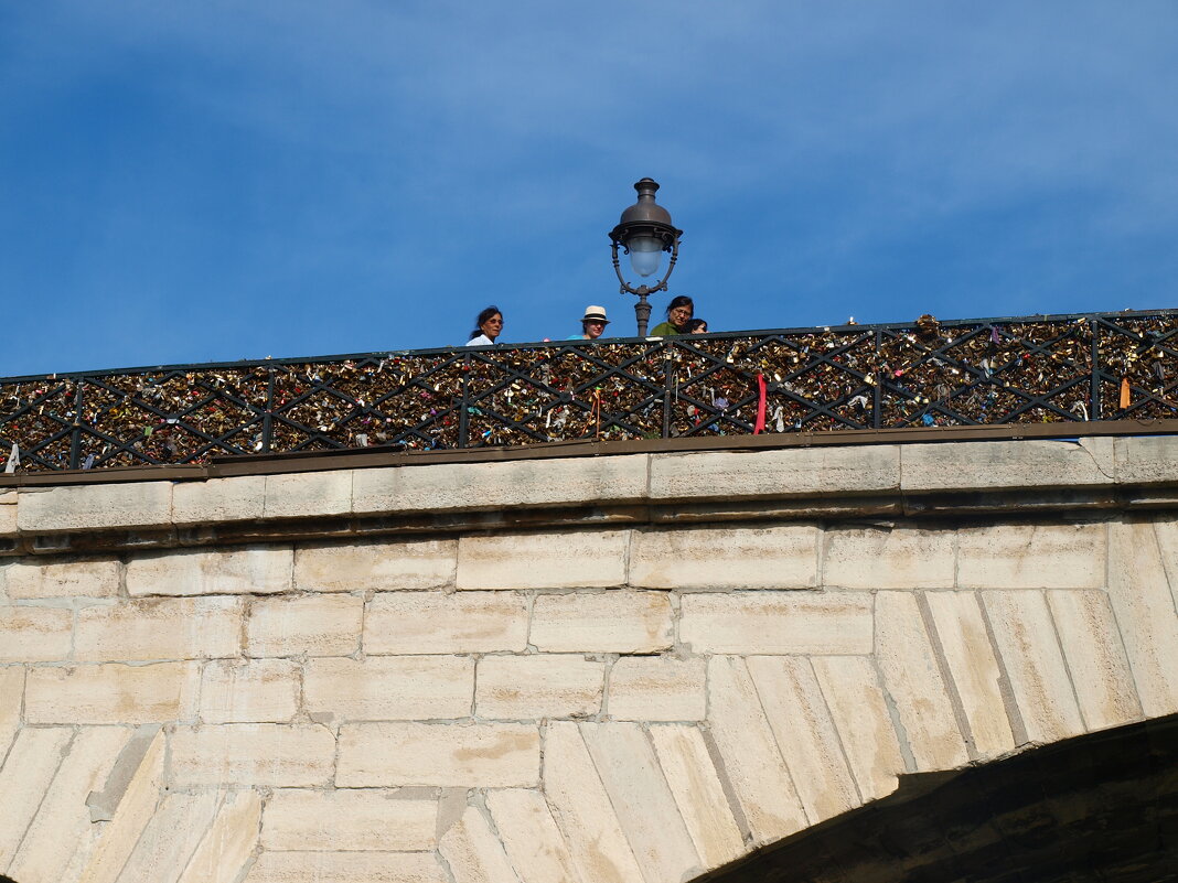 Париж. - Владимир Драгунский