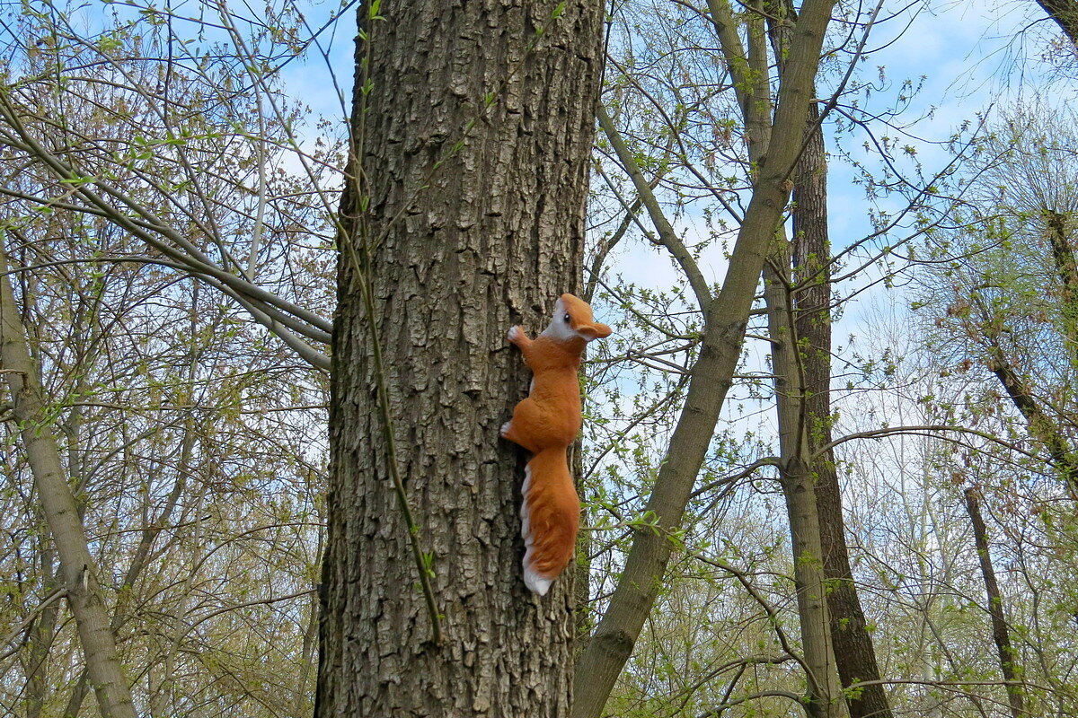В сказочном парке - Сеня Белгородский