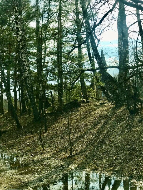 Просто зарисовка) - Альбина Просто зарисовка) - Альбина