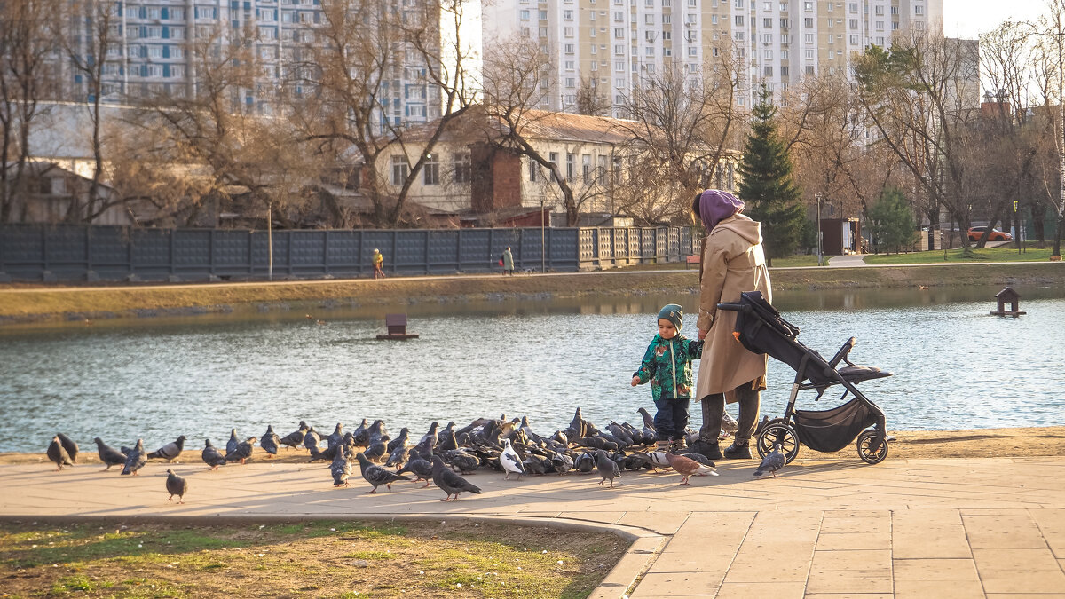 Люди и Птицы - юрий поляков