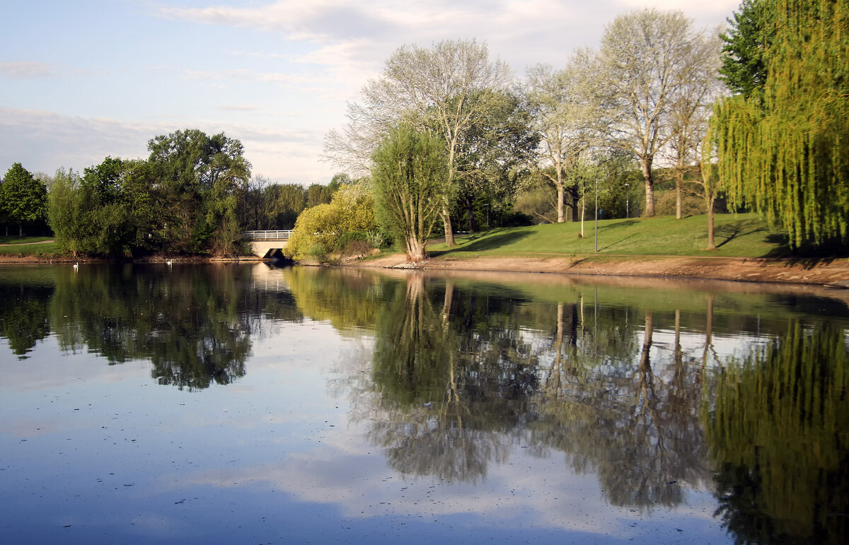 ***** - Андроник Александр ***** - Андроник Александр