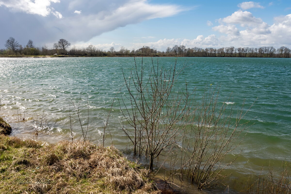Ветер, волны... - Николай Гирш