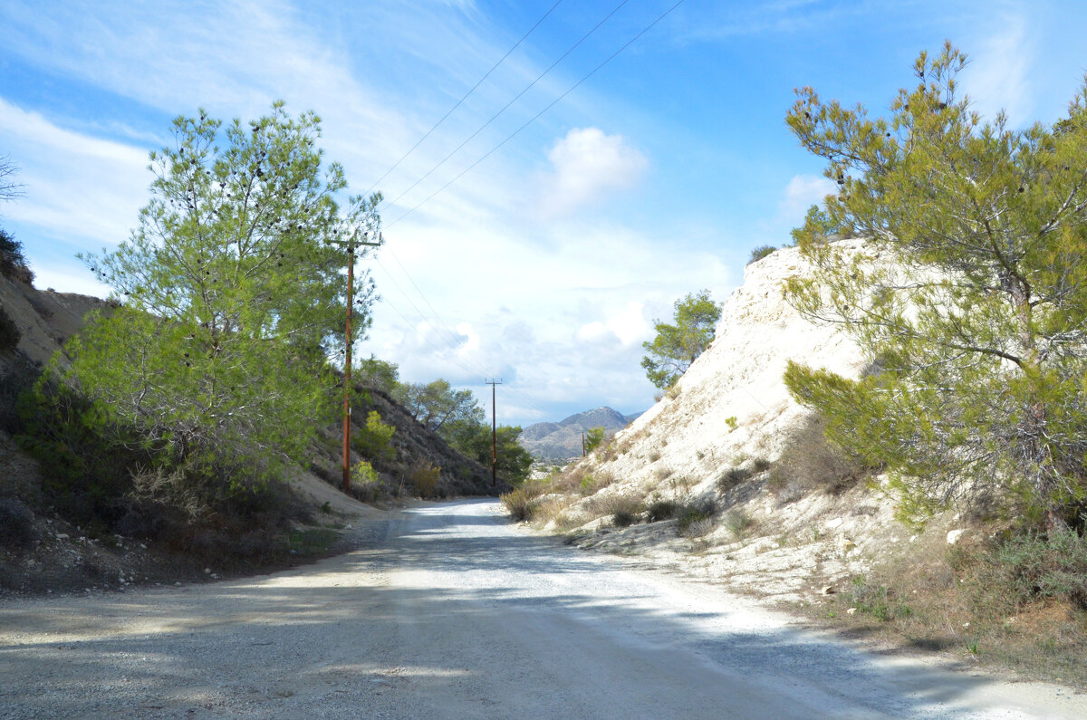 Дорога - Oleg4618 Шутченко