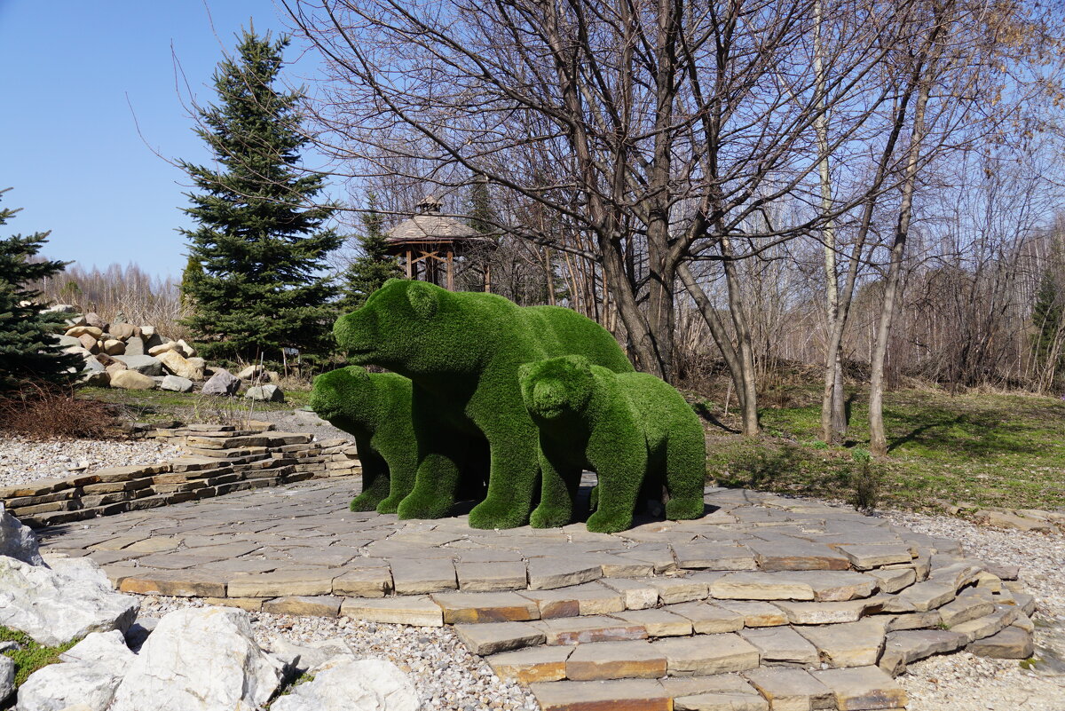 Медведи проснулись - Наталия Григорьева