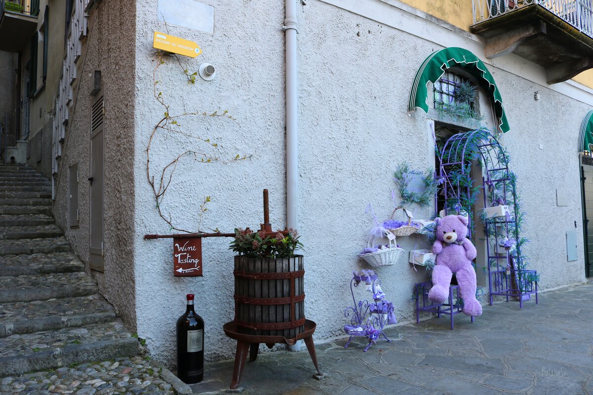 цвет лаванды - Светлана Баталий цвет лаванды - Светлана Баталий