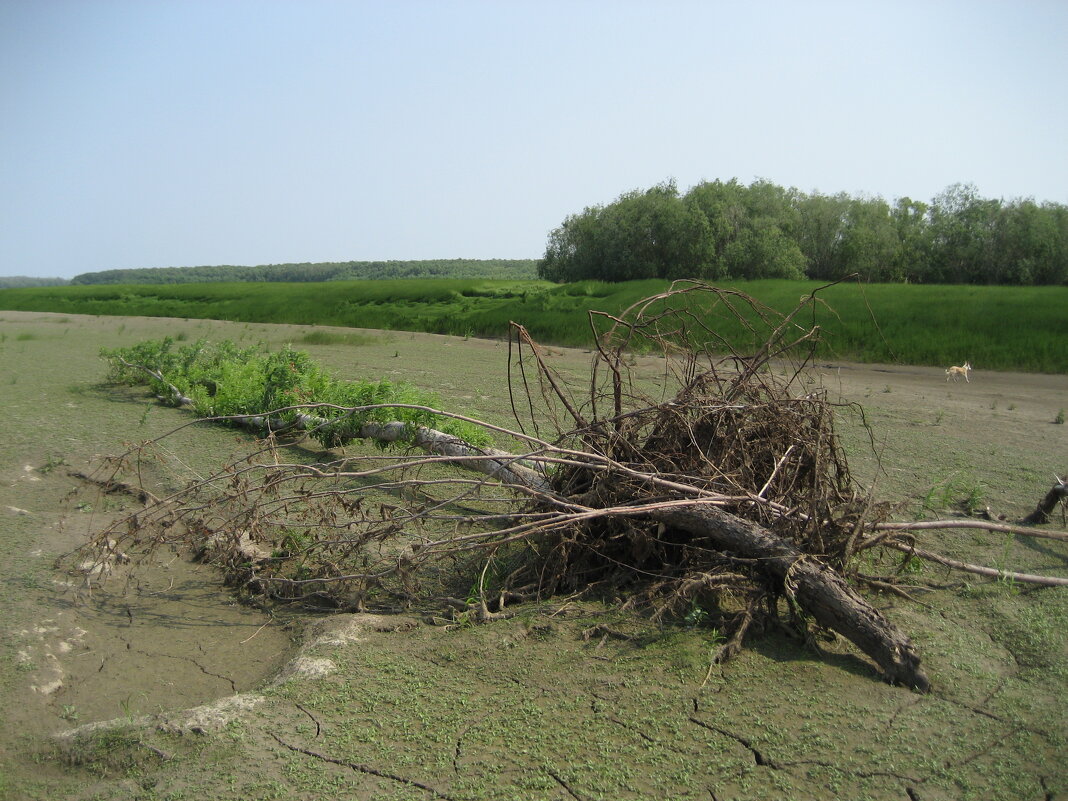 На острове - Anna Ivanova На острове - Anna Ivanova