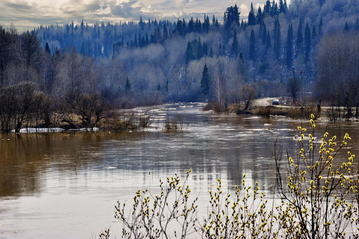 Половодье - Виктор Садырин