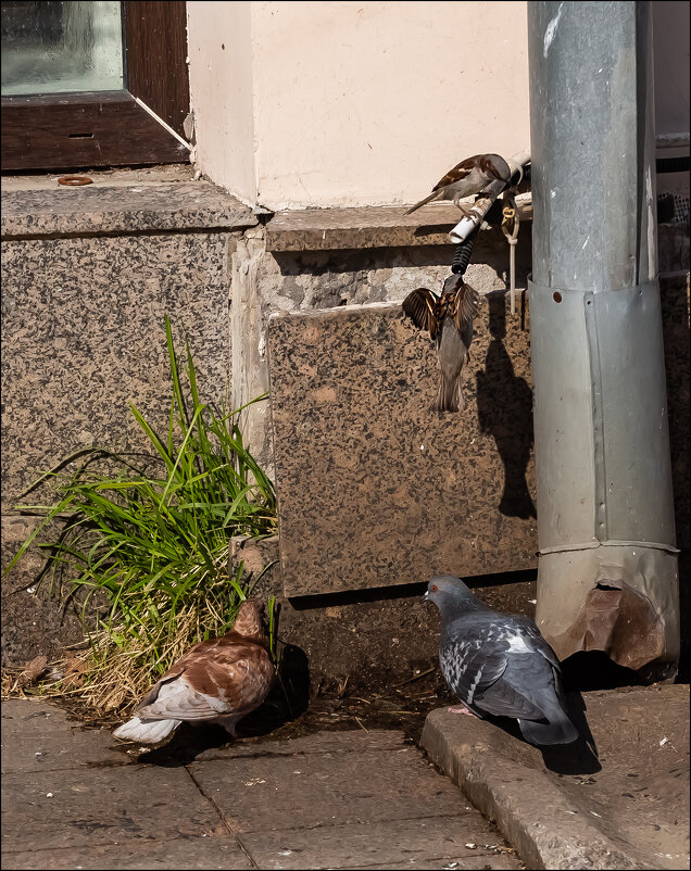 Пить хочется! - Александр Тарноградский Пить хочется! - Александр Тарноградский