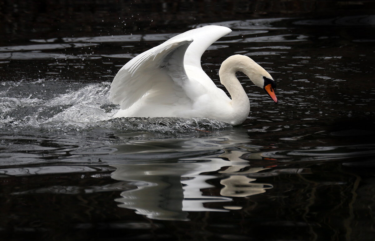 март - Михаил Бибичков